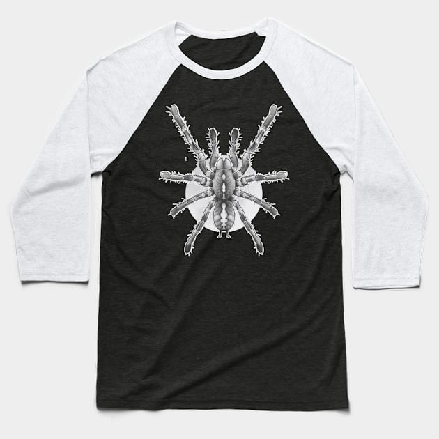 tarantula Baseball T-Shirt by elywick